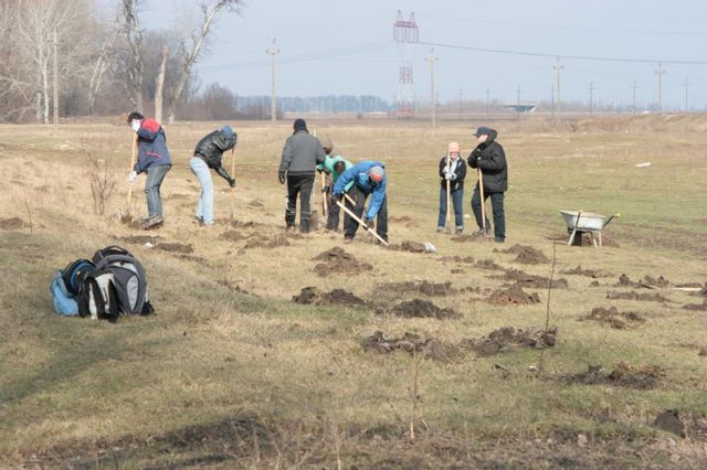 Voluntariat Terra Ecologica10