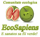 Forum si bloguri ecologice