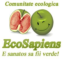 Forum si bloguri ecologice