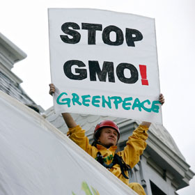 alimente modificate genetic