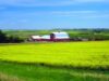 Moldova: Biomasa, o soluţie viabilă pentru reducerea dependenţei de gazul rusesc