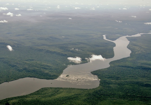 padurea amanzoniana padurea amanzoniana