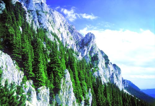 piatra craiului