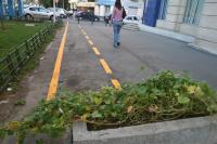 piste biciclete