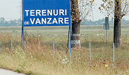 teren