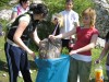 picture-068.jpg