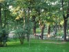 Spatiu verde