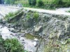 alunercari-teren.jpg