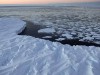 zona arctica
