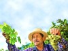 alimentatie bio