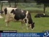 criterii ecologice pentru subventii