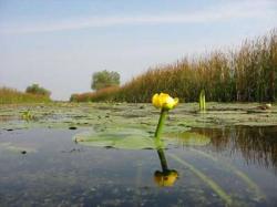 pensiuni ilegale in delta dunarii