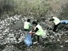 ecologizari ecologizari