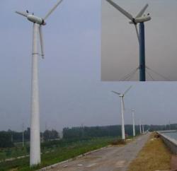 eoliana