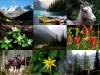 flora fauna