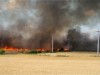 Cine arde miristile fara aviz de la Agentia de Mediu este ars la buzunar