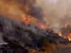 incendiu de padure in cluj