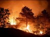 incendiu de padure incendiu de padure