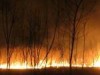 incendiu de vegetatie incendiu de vegetatie