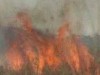 incendiu miriste incendiu miriste