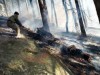 incendiu muntele rece incendiu muntele rece