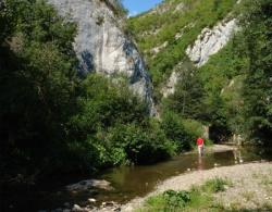 la pescuit