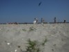 plaje virgine la marea neagra plaje virgine la marea neagra