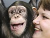 primate primate