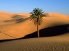 sahara a fost verde
