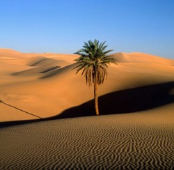 sahara a fost verde sahara a fost verde