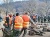 sezonul de vanatoare la mistreti sezonul de vanatoare la mistreti