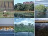 2 februarie - Ziua Mondiala a Zonelor Umede