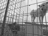 adapost pentru animale
