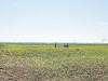 agricultura ecologica