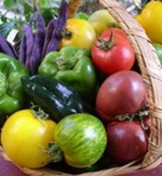 alimente ecologice
