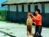 animale maltratate animale maltratate