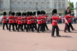 caschetele regale din blana caschetele regale din blana