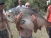 crap de 50 de kilograme crap de 50 de kilograme