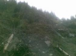 defrisari