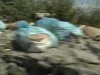 pedespre pentru aruncarea deseurilor pedespre pentru aruncarea deseurilor