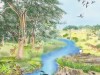 ecologie