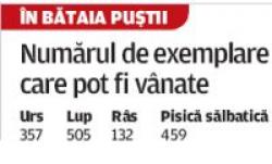in bataia pustii