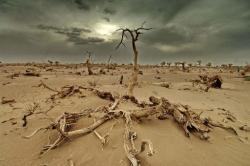 incalzirea climatica