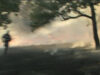 incendiu in tulcea incendiu in tulcea