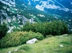 parcuri naturale