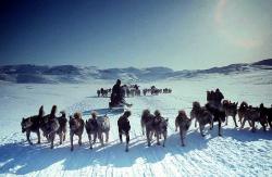 polul nord