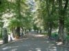 reabilitare parc