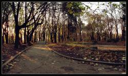 800px-embernov.jpg