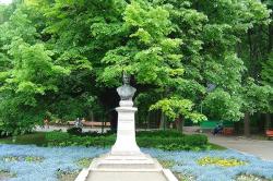 800px-teiul_lui_eminescu.jpg