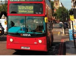 autobuze cu ulei alimentar